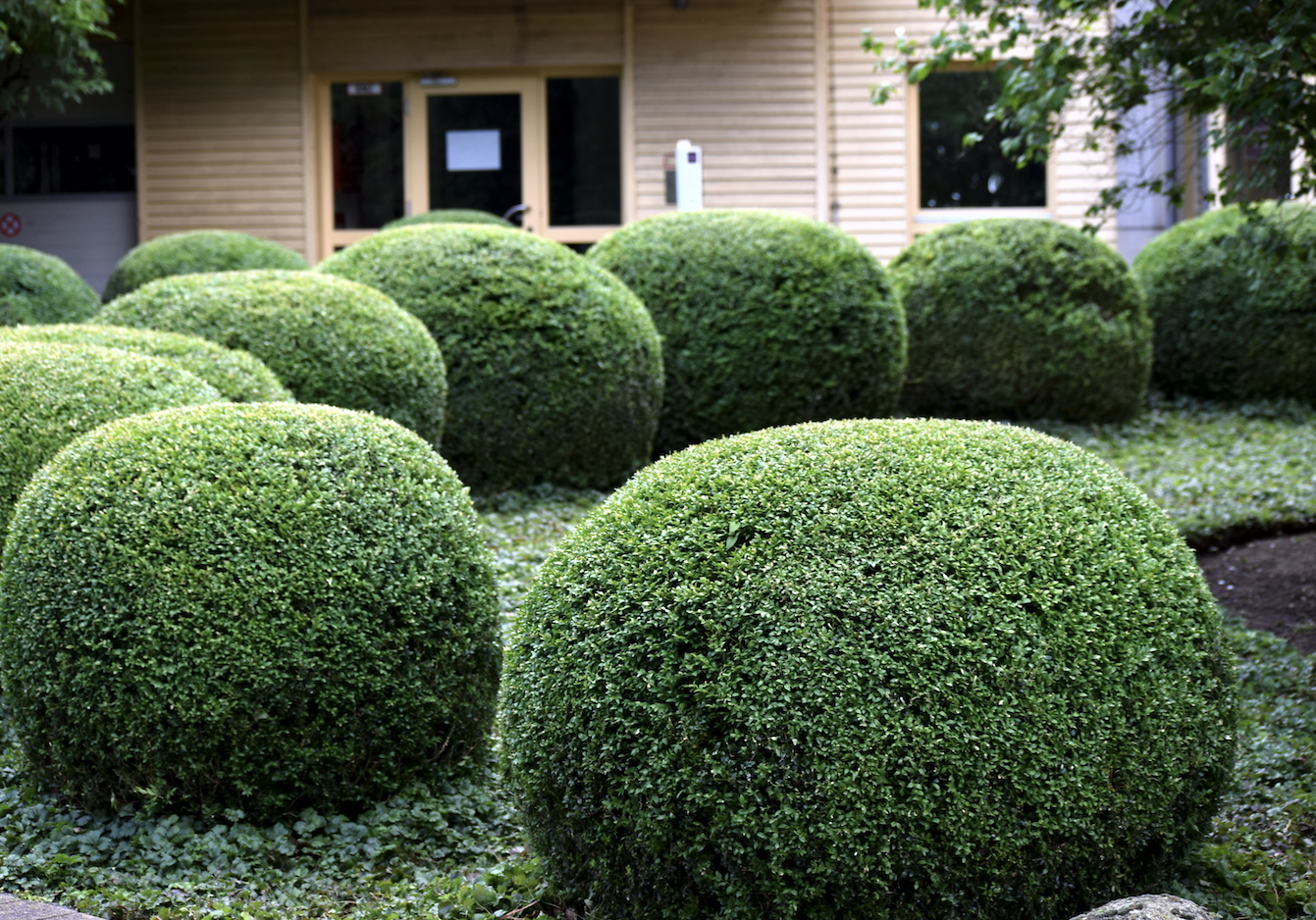 Screenshot 2025-04-30 at 12.10.07 PM